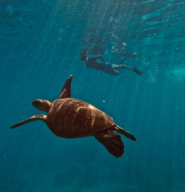 snorkeling-trip-costa-rica-uvita (1)