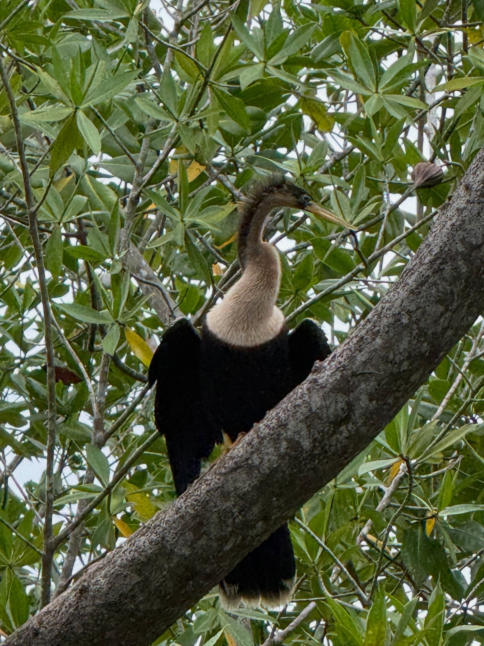 751766058_18334365502250982_1395832918999186140_n