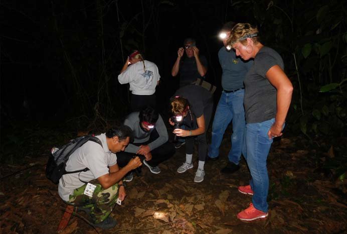 night-hike-1